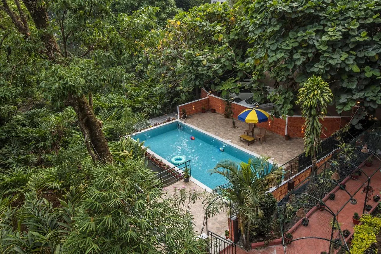 Spice Jungle Holiday Resort Munnar