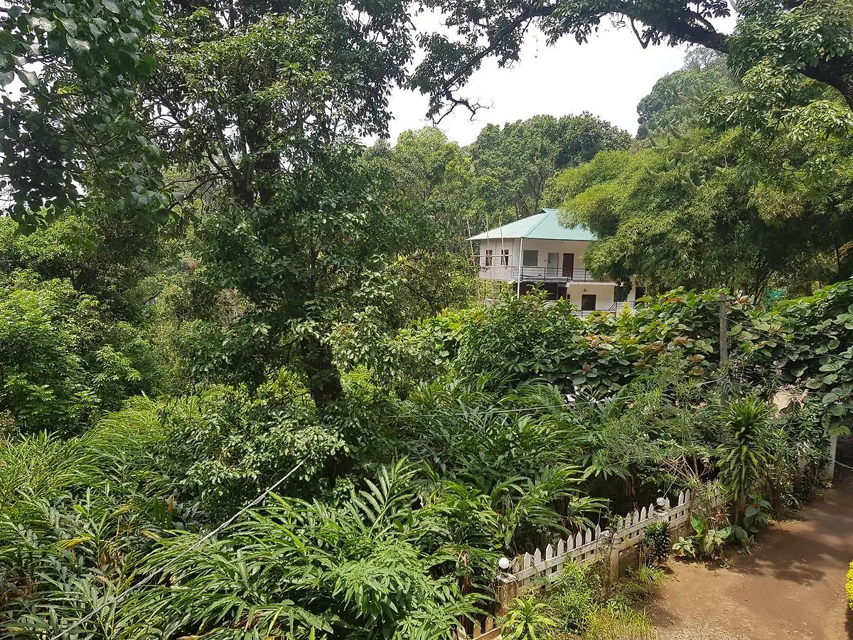 Spice Jungle Holiday Resort Munnar Frühstückspension